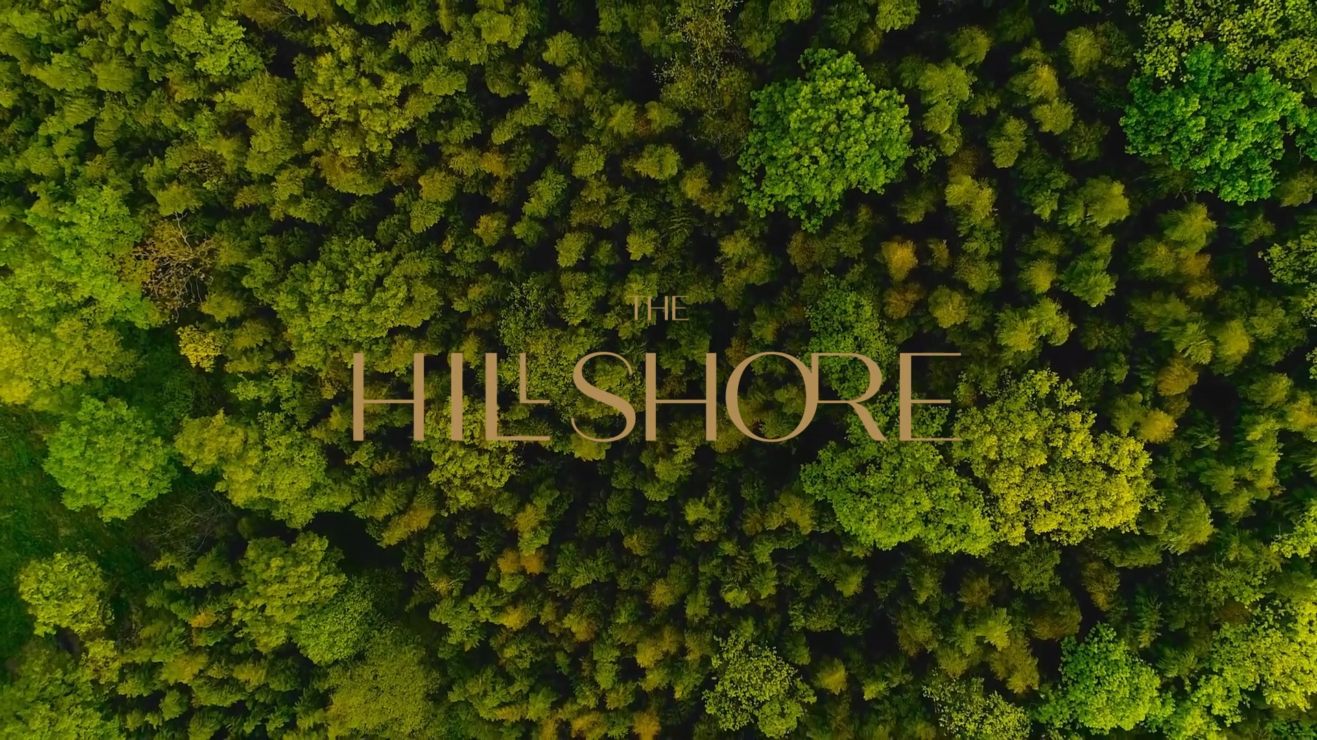 The Hillshore Video